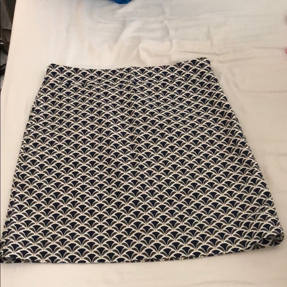 Ann Taylor skirt
